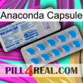 Anaconda Capsule new15